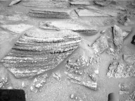 NASA Science: Sols 4522-4524 – Exploring Rooftop Terrain A grayscale close-up photograph of the Martian surface from the Curiosity rover shows a mix of small to large medium-gray rocks exposed above coarse soil. The rocks are various polygonal shapes with mostly sharp edges; the largest stands out in particular on the upper left side of the image, composed of numerous rough layers viewed edge-on. Portions of the rover are also visible in the frame, mainly Curiosity’s robotic arm, in a shadow at the bottom of the frame. The rover’s name is printed on the arm in all uppercase letters, next to a silhouette image of the rover.