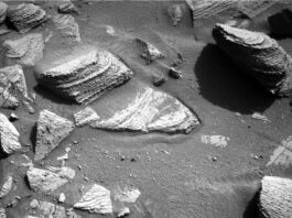 NASA Science Explores Sols 4525-4526: Journey South Near Texoli A grayscale photograph of the Martian surface from the Curiosity rover captures medium-gray, coarse soil in front of the rover, with rocks everywhere protruding up through it. They are lighter-toned than the ground, some rounded, others looking like cracked, smooth plates. The largest rocks look like they’re built up from stacked layers. A part of the rover is visible in the frame, at bottom center, including one of its wheels.