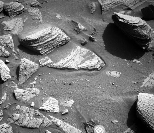 NASA Science Explores Sols 4525-4526: Journey South Near Texoli A grayscale photograph of the Martian surface from the Curiosity rover captures medium-gray, coarse soil in front of the rover, with rocks everywhere protruding up through it. They are lighter-toned than the ground, some rounded, others looking like cracked, smooth plates. The largest rocks look like they’re built up from stacked layers. A part of the rover is visible in the frame, at bottom center, including one of its wheels.