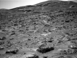 Sols 4527-4528: NASA Discovers ‘Boxwork’ Formation A grayscale photograph of the Martian surface from the Curiosity rover shows a field of rough and jagged rocks covering the surface from the foreground extending to hills in the background, all medium to dark gray. The hills appear smoother overall, but have horizontal folds on their sides leading up to their peaks.