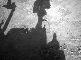 NASA Science: Daily Box Tasks on Sols 4556-4558 A grayscale photo looking down at the Martian surface, showing very rough terrain in front of the Curiosity rover. Light gray, gravel-covered rocks are in bright sunlight in about half the frame, extending up diagonally toward the upper right corner of the image. A shadow silhouette of the rover covers most of the rest of the image, with its mast head and robotic arm appearing very prominently. Portions of the rover itself are shadowed but visible at the bottom of the image.