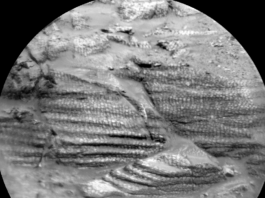 Curiosity Blog, Sols 4575-4576: Ideal Spot Found by NASA Science A grayscale, closeup image of Martian terrain, showing three areas of layered rocks, which are textured in a way that looks like reptile skin.