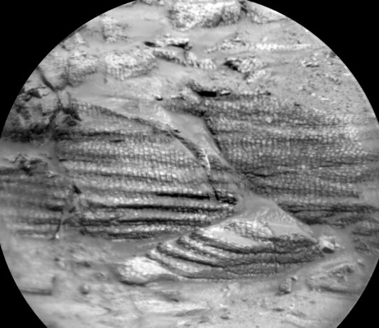 Curiosity Blog, Sols 4575-4576: Ideal Spot Found by NASA Science A grayscale, closeup image of Martian terrain, showing three areas of layered rocks, which are textured in a way that looks like reptile skin.