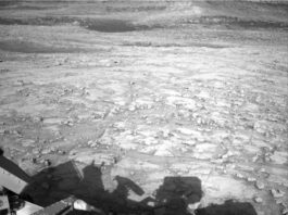 NASA Science Explores Skies: Curiosity Blog Sols 4577-4579 A grayscale photograph from the Martian surface shows rough terrain covered in a multitude of small- to medium-sized rocks, resting atop timeworn surface features, all colored a fairly light gray. Part of the Curiosity rover, and a shadow it is casting, are visible at the bottom of the frame.
