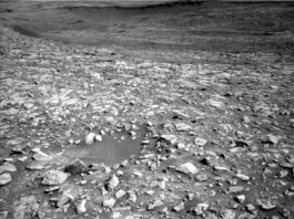 NASA Science: Mars’ Sols 4595-4596 – Another Stunning Martian Day A grayscale image from the Martian surface shows a field of extremely rough, rocky terrain in medium gray, stretching from the foreground to the edge of the distant horizon.
