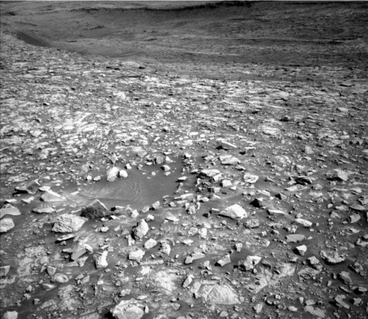 NASA Science: Mars’ Sols 4595-4596 – Another Stunning Martian Day A grayscale image from the Martian surface shows a field of extremely rough, rocky terrain in medium gray, stretching from the foreground to the edge of the distant horizon.