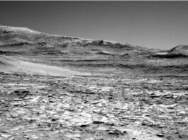 NASA Science Explores Vast Martian Terrain: Curiosity Blog Update A grayscale photo from the Martian surface shows rocky ground from the front of the image to a horizon line where a series of gently sloped hills rise up.