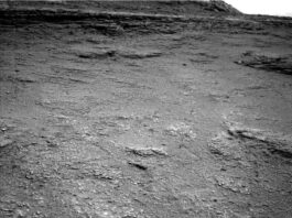 Curiosity Blog Sols 4609–4610: Powered Up for Further Exploration A grayscale photo from the Martian surface shows rough, slightly uneven, dark gray, rocky terrain extending to a plateau that rises in the distance, at the top of the frame. In the foreground, many smaller rocks are poking above the surface, much lighter-toned than the surrounding ground, looking like white specks on the surface.
