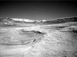 NASA Science: Curiosity Explores Deep Dip – Sols 4607-4608 A grayscale photo from the Martian surface shows a landscape of undulating but mostly smooth terrain, in light gray. A plateau on the right side of the foreground drops down toward the left about mid-frame, in a gentle curve. A ridge across the upper middle of the frame creates a V-shaped horizon line. Beyond that in the distance, filling the bottom of the V, a jagged line of rocks is brilliant white, looking like snow-capped mountains.
