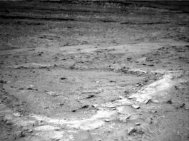 Curiosity Explores Boxworks: Choosing Next Dig Site, Sols 4675-4681 A grayscale photo from the Martian surface shows a landscape with an elevated ridge running from the foreground, at the bottom left of the image, toward the middle right side of the frame, with two branches extending toward the left side of the frame, creating a U-shaped depression between them. The top of the ridge is much lighter colored than the medium gray surrounding terrain, which extends off to the horizon at the top of the frame, and is interspersed with areas of scattered small, jagged rocks and wavy sand deposits.