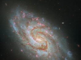 Hubble Reveals Majestic Spiral of Stellar Nurseries – NASA Science NASA Logo