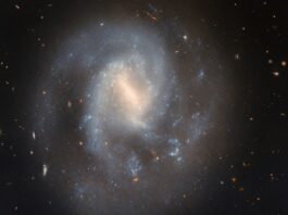 NASA’s Hubble Observes Supernova in Spiral Galaxy A spiral galaxy with a soft and slightly faint appearance. It glows most brightly around the pale-yellow bar across its center. It has two spiral arms which wrap around its core, quickly broadening out to join a wide, faint circular halo around the galaxy. Glowing, sparkling patches in the disk show stars forming in nebulae. Behind the galaxy, distant galaxies appear as orange dots on a black background.
