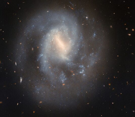 NASA’s Hubble Observes Supernova in Spiral Galaxy A spiral galaxy with a soft and slightly faint appearance. It glows most brightly around the pale-yellow bar across its center. It has two spiral arms which wrap around its core, quickly broadening out to join a wide, faint circular halo around the galaxy. Glowing, sparkling patches in the disk show stars forming in nebulae. Behind the galaxy, distant galaxies appear as orange dots on a black background.