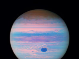 NASA: Hubble Captures Jupiter in Ultraviolet Spectrum Jupiter looks iridescent in this ultraviolet image from the Hubble Space Telescope. The poles are a muted orange color, while swirls and stripes of pink, orange, blue, and purple cover the rest of the planet. Jupiter