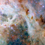 NASA’s Hubble Unveils Stunning Cosmic Cloud Formation A portion of the Tarantula Nebula, made of variously colored layers of dust clouds. One upper layer is dark reddish dust which is dense and obscures light, in places so dense that it appears black. A middle layer holds pale clouds that are thick like curling wisps of smoke. They form a broad bow across the center of the image. Many small, bright stars lie throughout the nebula. They appear as blue, purple or red depending on depth.