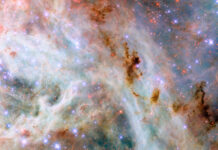 NASA’s Hubble Unveils Stunning Cosmic Cloud Formation A portion of the Tarantula Nebula, made of variously colored layers of dust clouds. One upper layer is dark reddish dust which is dense and obscures light, in places so dense that it appears black. A middle layer holds pale clouds that are thick like curling wisps of smoke. They form a broad bow across the center of the image. Many small, bright stars lie throughout the nebula. They appear as blue, purple or red depending on depth.