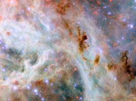 NASA’s Hubble Unveils Stunning Cosmic Cloud Formation A portion of the Tarantula Nebula, made of variously colored layers of dust clouds. One upper layer is dark reddish dust which is dense and obscures light, in places so dense that it appears black. A middle layer holds pale clouds that are thick like curling wisps of smoke. They form a broad bow across the center of the image. Many small, bright stars lie throughout the nebula. They appear as blue, purple or red depending on depth.