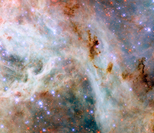 NASA’s Hubble Unveils Stunning Cosmic Cloud Formation A portion of the Tarantula Nebula, made of variously colored layers of dust clouds. One upper layer is dark reddish dust which is dense and obscures light, in places so dense that it appears black. A middle layer holds pale clouds that are thick like curling wisps of smoke. They form a broad bow across the center of the image. Many small, bright stars lie throughout the nebula. They appear as blue, purple or red depending on depth.