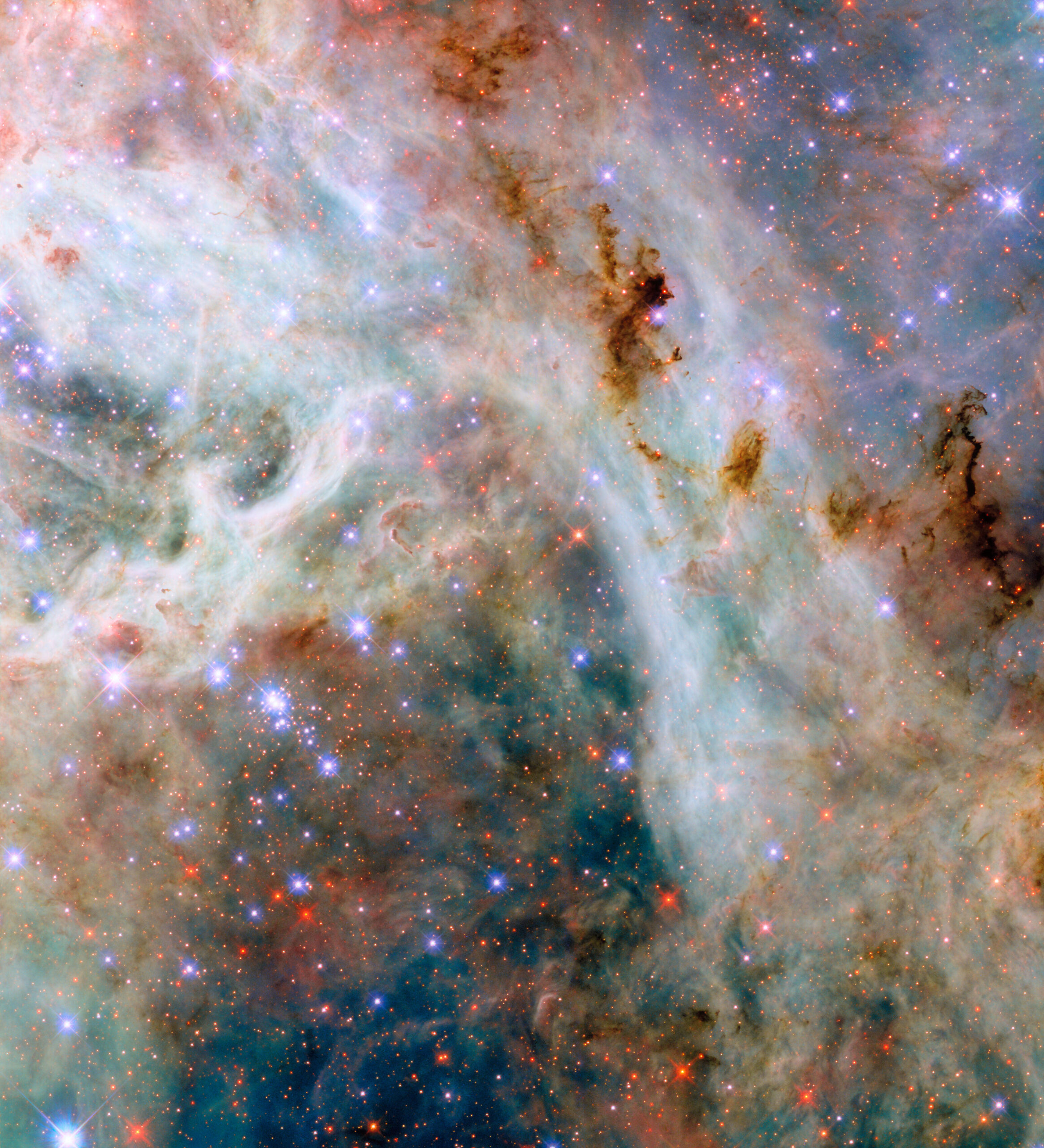 hubble lmc tarantulanebula potw2506a.jpg A portion of the Tarantula Nebula, made of variously colored layers of dust clouds. One upper layer is dark reddish dust which is dense and obscures light, in places so dense that it appears black. A middle layer holds pale clouds that are thick like curling wisps of smoke. They form a broad bow across the center of the image. Many small, bright stars lie throughout the nebula. They appear as blue, purple or red depending on depth.