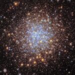 NASA’s Hubble Observes Sparkling Cluster in Ultraviolet Light Thousands of bright stars fill a spherically shaped globular cluster. In the center, most of the stars appear blue. The globular cluster’s bright blue-white core is surrounded by a thick shell of yellower stars, seen in differing sizes according to their position in the spherical star cluster. They spread out beyond the edges of the image, appearing smaller and sparser at the corners of the image. A distant spiral galaxy is also visible in the lower-left corner of the image.