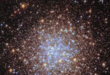 NASA’s Hubble Observes Sparkling Cluster in Ultraviolet Light Thousands of bright stars fill a spherically shaped globular cluster. In the center, most of the stars appear blue. The globular cluster’s bright blue-white core is surrounded by a thick shell of yellower stars, seen in differing sizes according to their position in the spherical star cluster. They spread out beyond the edges of the image, appearing smaller and sparser at the corners of the image. A distant spiral galaxy is also visible in the lower-left corner of the image.