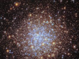 NASA’s Hubble Observes Sparkling Cluster in Ultraviolet Light Thousands of bright stars fill a spherically shaped globular cluster. In the center, most of the stars appear blue. The globular cluster’s bright blue-white core is surrounded by a thick shell of yellower stars, seen in differing sizes according to their position in the spherical star cluster. They spread out beyond the edges of the image, appearing smaller and sparser at the corners of the image. A distant spiral galaxy is also visible in the lower-left corner of the image.