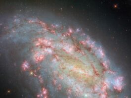 Hubble Reveals Stunning Multiwavelength Galaxy Image NASA Logo
