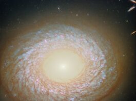 NASA’s Hubble Snaps Mysterious Galaxy Image A galaxy seen face-on, with a slightly elliptical disk that appears to have a hole in the center like a doughnut. In the hole, the core is a brightly glowing point that shines light out beyond the edge of the disk. Around the hole is an inner ring of dust, and at the galaxy’s edge is a thicker outer ring of dust, with a swirling web of dust strands in between. Blue stars and red nebulae are visible behind the dust.