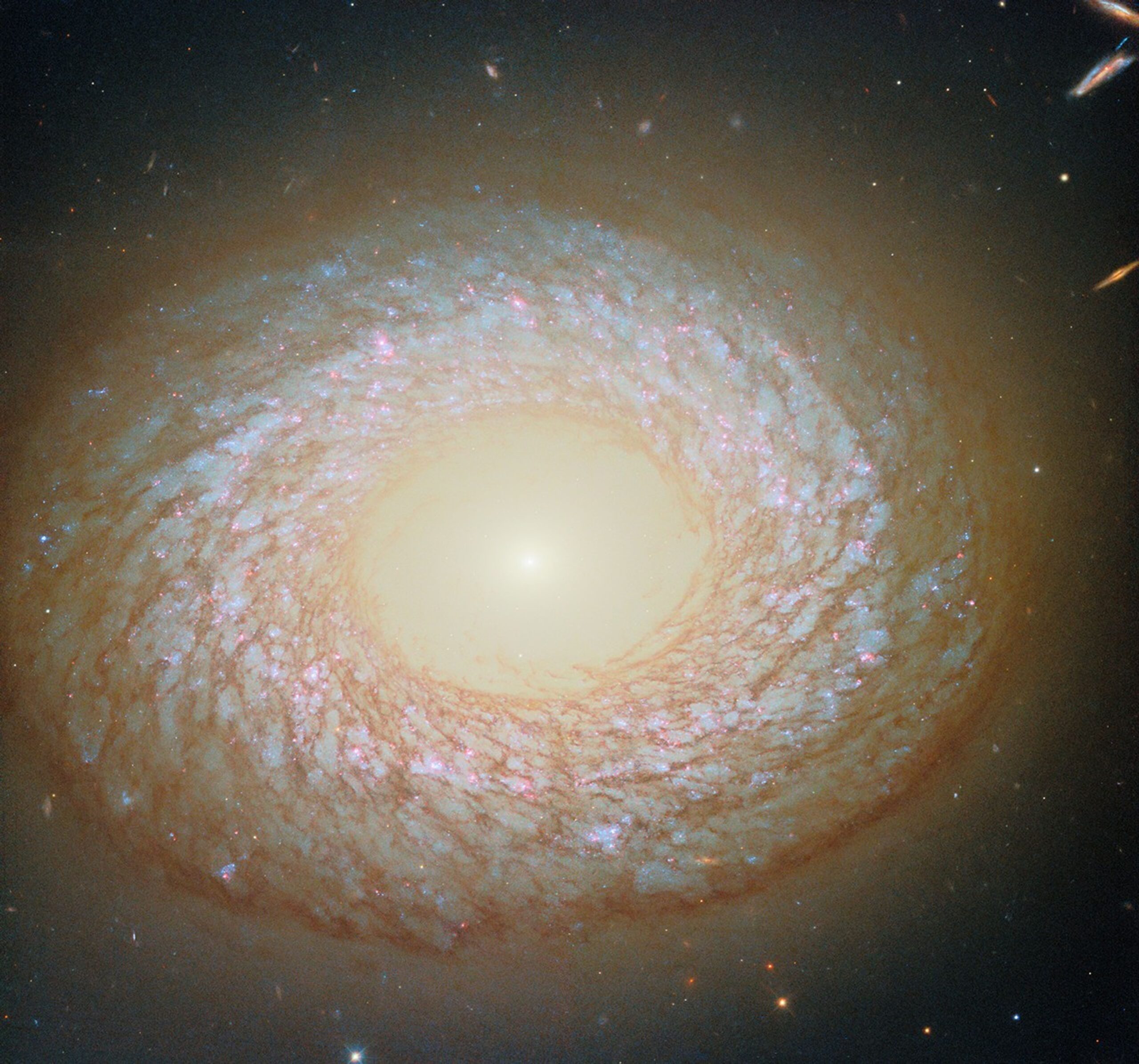hubble ngc2775 potw2538a.jpg A galaxy seen face-on, with a slightly elliptical disk that appears to have a hole in the center like a doughnut. In the hole, the core is a brightly glowing point that shines light out beyond the edge of the disk. Around the hole is an inner ring of dust, and at the galaxy’s edge is a thicker outer ring of dust, with a swirling web of dust strands in between. Blue stars and red nebulae are visible behind the dust.