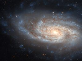 NASA’s Hubble Captures Stunning Spiral Galaxy Image NASA Logo