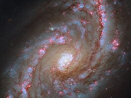 NASA’s Hubble Observes Majestic Spiral Galaxy with Starbursts NASA Logo