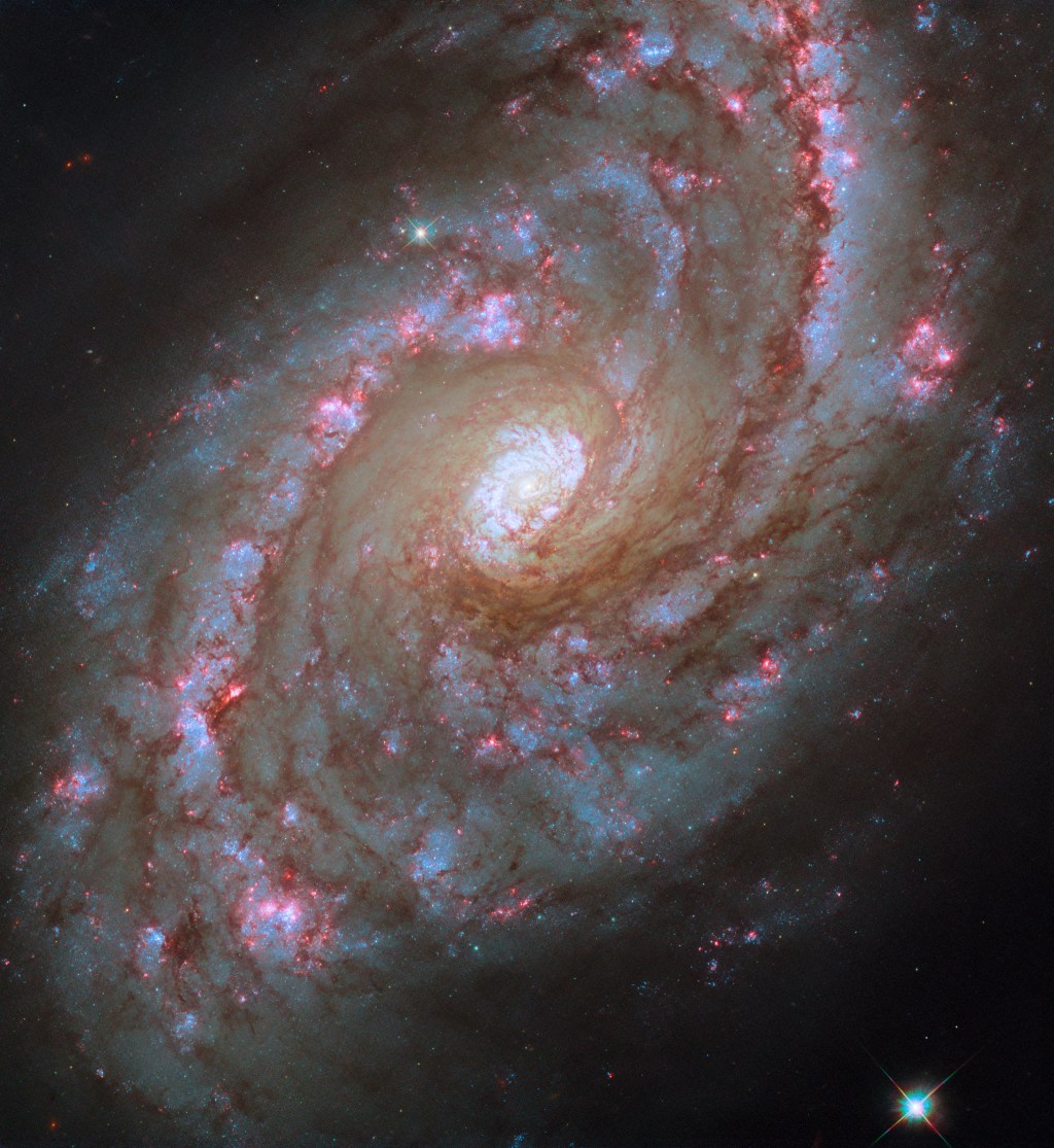 hubble ngc5248 potw2441a.jpg NASA Logo