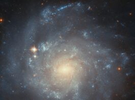 NASA’s Hubble Investigates Stellar Creation in Spiral Galaxy NASA Logo