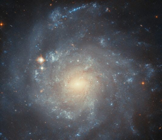 NASA’s Hubble Investigates Stellar Creation in Spiral Galaxy NASA Logo