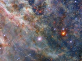 NASA’s Hubble Telescope Photographs Tarantula Nebula A colorful nebula. The image’s top-left is filled with layers of fluffy pink and greenish clouds. Long strands of green clouds stretch out from here; a faint layer of translucent blue dust combines with them to create a three-dimensional scene. A sparse network of dark dust clouds in the foreground adds reddish-black patches atop the nebula. Blue-white and orange stars, from our galaxy and beyond, are spread throughout the clouds.