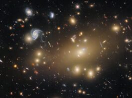 NASA Captures Image of Galaxy Cluster with Hubble A cluster of distant, mainly elliptical galaxies. They appear as brightly shining points radiating golden light that each take the shape of a smooth, featureless oval. They crowd around one that is extremely large and bright. A few spiral galaxies of comparable size appear too, bluer in color and with unique shapes. Of the other more small and distant galaxies covering the scene, a few are warped into long lines.