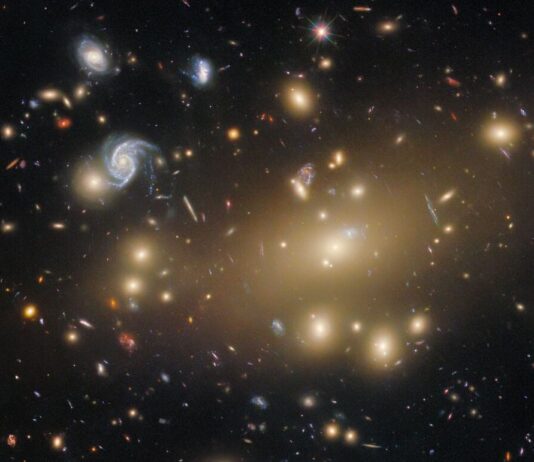 NASA Captures Image of Galaxy Cluster with Hubble A cluster of distant, mainly elliptical galaxies. They appear as brightly shining points radiating golden light that each take the shape of a smooth, featureless oval. They crowd around one that is extremely large and bright. A few spiral galaxies of comparable size appear too, bluer in color and with unique shapes. Of the other more small and distant galaxies covering the scene, a few are warped into long lines.