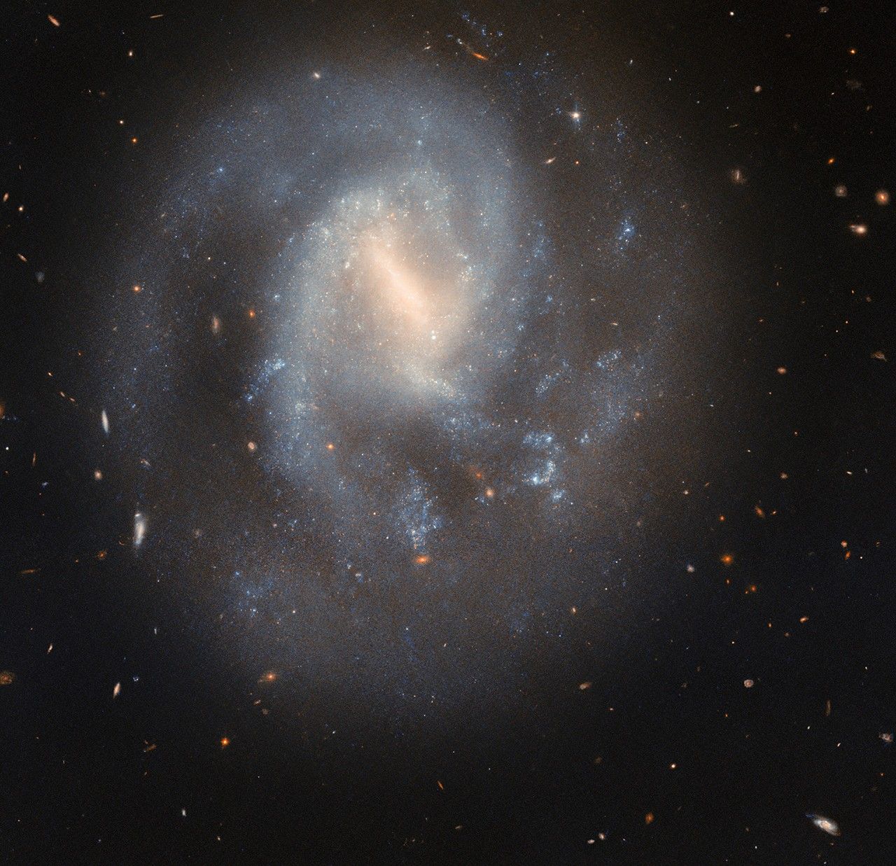 A spiral galaxy with a soft and slightly faint appearance. It glows most brightly around the pale-yellow bar across its center. It has two spiral arms which wrap around its core, quickly broadening out to join a wide, faint circular halo around the galaxy. Glowing, sparkling patches in the disk show stars forming in nebulae. Behind the galaxy, distant galaxies appear as orange dots on a black background.