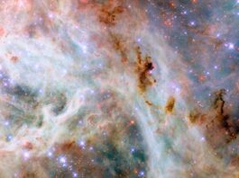 NASA’s Hubble Photographs a Majestic Cosmic Landscape A portion of the Tarantula Nebula, made of variously colored layers of dust clouds. One upper layer is dark reddish dust which is dense and obscures light, in places so dense that it appears black. A middle layer holds pale clouds that are thick like curling wisps of smoke. They form a broad bow across the center of the image. Many small, bright stars lie throughout the nebula. They appear as blue, purple or red depending on depth.