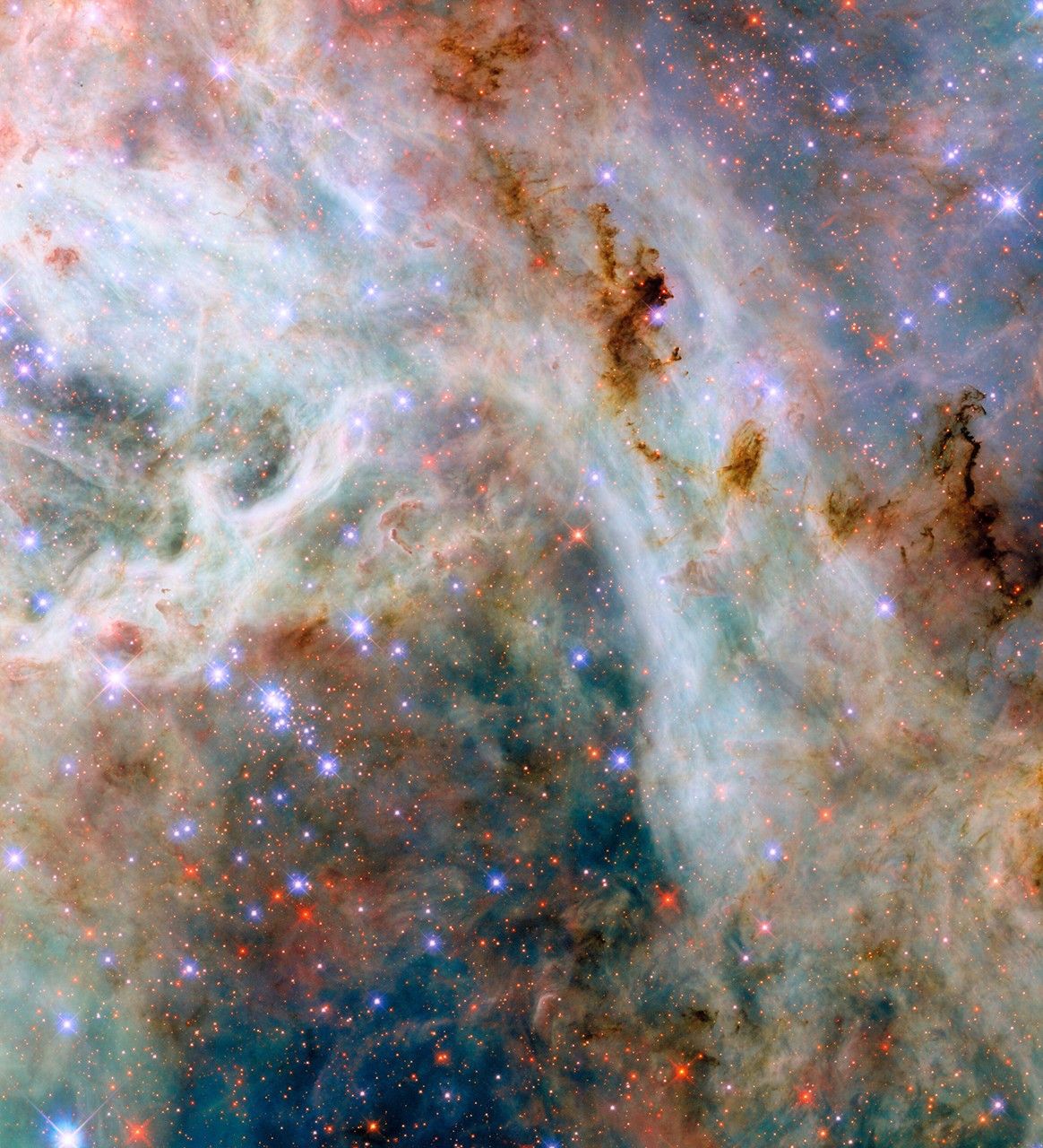 hubble lmc tarantulanebula potw2506a.jpg A portion of the Tarantula Nebula, made of variously colored layers of dust clouds. One upper layer is dark reddish dust which is dense and obscures light, in places so dense that it appears black. A middle layer holds pale clouds that are thick like curling wisps of smoke. They form a broad bow across the center of the image. Many small, bright stars lie throughout the nebula. They appear as blue, purple or red depending on depth.