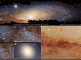 Hubble Uncovers Andromeda Galaxy’s Secret Past NASA's Hubble Traces Hidden History of Andromeda Galaxy - NASA Science