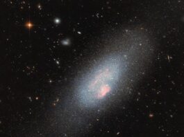 Hubble Captures Stunning Image of Massive Stars – NASA A pale blue dwarf galaxy on the black backdrop of space with some faraway galaxies. The galaxy itself resembles a fuzzy cloud of tightly packed stars, with a broad halo of stars dispersed around it. Spread across the galaxy’s core are several small, glowing patches of gas where there is a concentration of very hot stars.