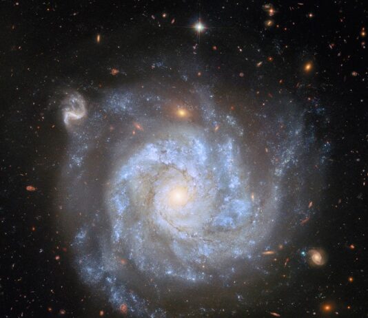 NASA Hubble Explores Spiral Galaxy Abundant with Supernovae A top-down view of a spiral galaxy, showing its brightly-shining center, its broad spiral arms, and the faint halo around its disk, as well as distant galaxies and stars on a dark background. Large blue clouds of gas speckled with small stars and strands of dark dust swirl around the galaxy’s disk. A couple of the background galaxies are large enough that their own swirling spiral arms are visible.