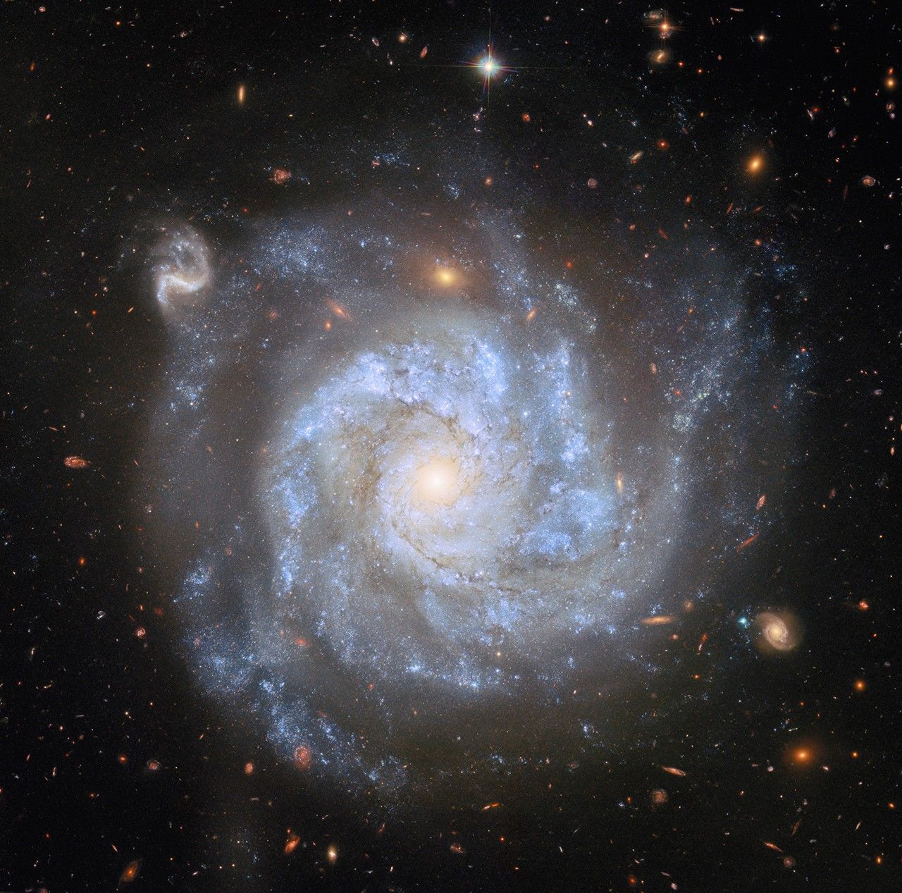 hubble ngc1309 potw2530a.jpg A top-down view of a spiral galaxy, showing its brightly-shining center, its broad spiral arms, and the faint halo around its disk, as well as distant galaxies and stars on a dark background. Large blue clouds of gas speckled with small stars and strands of dark dust swirl around the galaxy’s disk. A couple of the background galaxies are large enough that their own swirling spiral arms are visible.