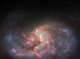 Hubble Captures Image of Barred Spiral Galaxy A spiral galaxy. It has several arms that appear mixed together, yet it has an overall oval shape. The center of the galaxy glows brightly. There are bright pink patches and filaments of dark red dust spread across the galaxy’s center.