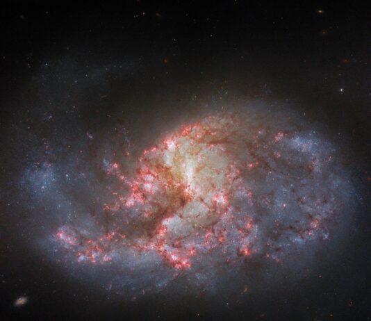 Hubble Captures Image of Barred Spiral Galaxy A spiral galaxy. It has several arms that appear mixed together, yet it has an overall oval shape. The center of the galaxy glows brightly. There are bright pink patches and filaments of dark red dust spread across the galaxy’s center.