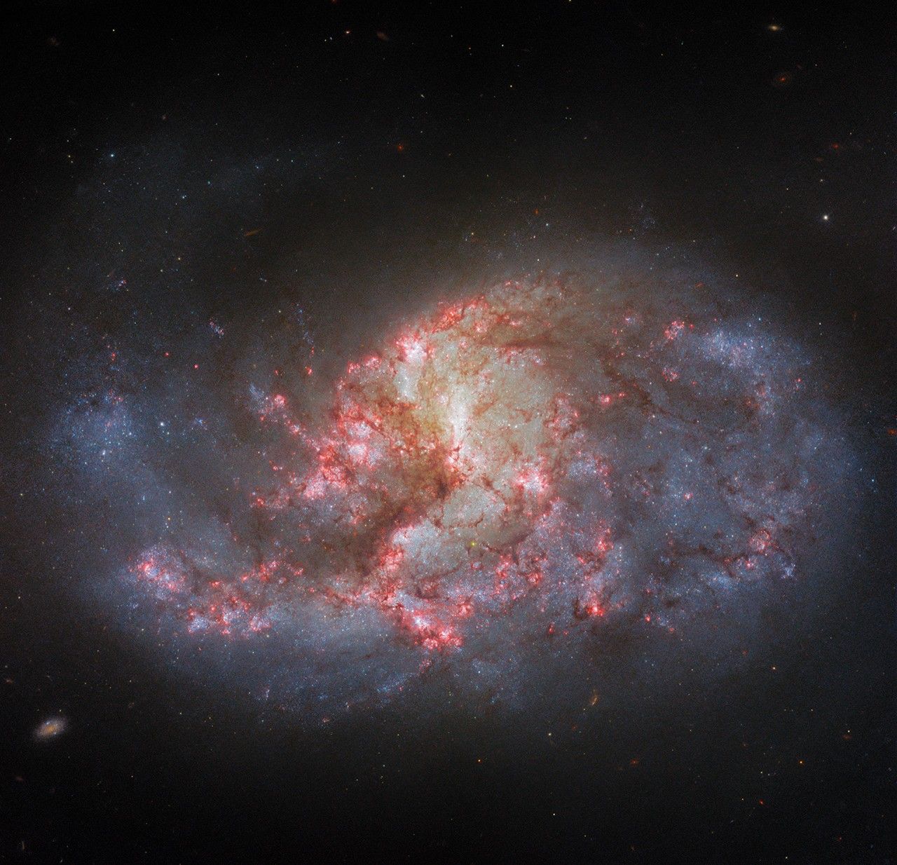 hubble ngc1385 potw2346a.jpg A spiral galaxy. It has several arms that appear mixed together, yet it has an overall oval shape. The center of the galaxy glows brightly. There are bright pink patches and filaments of dark red dust spread across the galaxy’s center.