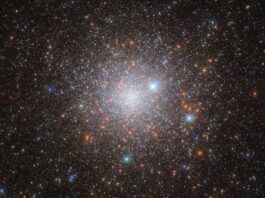 NASA’s Hubble Uncovers Ancient Galactic Relic A cluster of stars in space. It’s bright in the center, where the stars are densely packed together in the cluster’s core and grows dimmer and more diffuse out to the edges, as the stars give way to the dark background of space. A few orange stars are spread across the cluster, but most are pale, bluish-white points of light. Three large stars with cross-shaped diffraction spikes around them lie between us and the cluster.