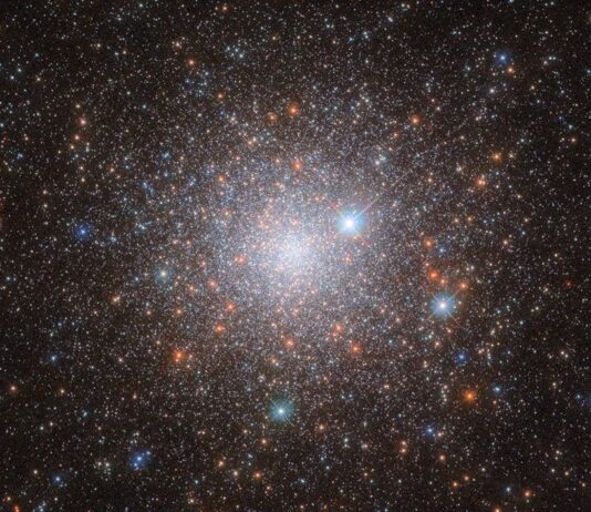 NASA’s Hubble Uncovers Ancient Galactic Relic A cluster of stars in space. It’s bright in the center, where the stars are densely packed together in the cluster’s core and grows dimmer and more diffuse out to the edges, as the stars give way to the dark background of space. A few orange stars are spread across the cluster, but most are pale, bluish-white points of light. Three large stars with cross-shaped diffraction spikes around them lie between us and the cluster.