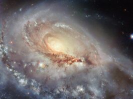 NASA’s Hubble Captures Unusual Spiral Galaxy Image A spiral galaxy seen at a skewed angle. Its center is a bright spot radiating light. A thick, stormy disk of material surrounds this bright center, with swirling strands of dark dust and bright spots of star formation strewn through the disk. A large spiral arm extends from the disk toward the viewer. Some foreground stars are visible atop the galaxy.